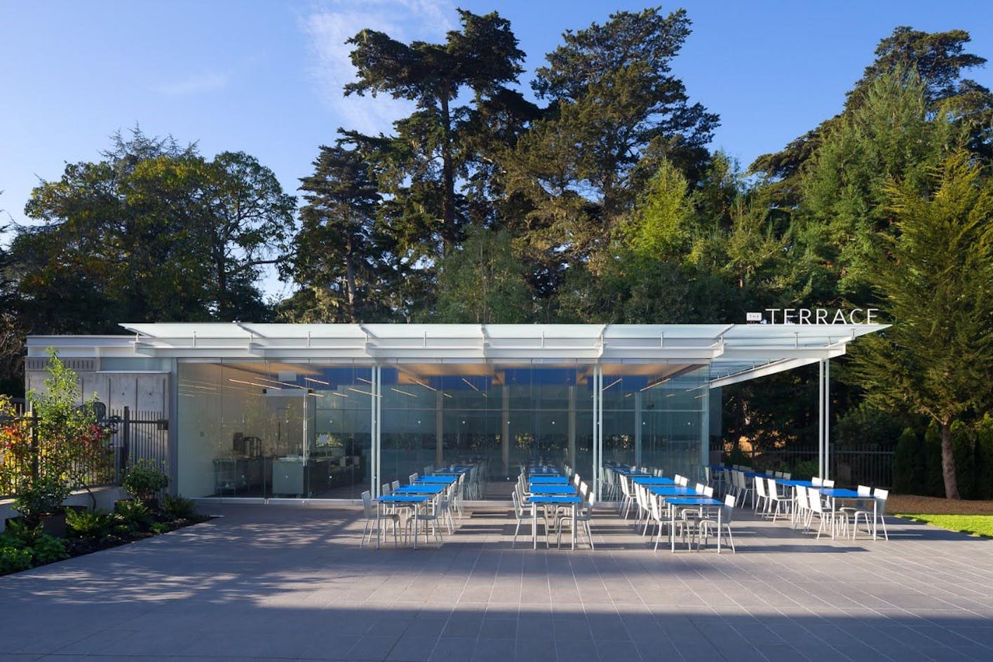 San Francisco Cal Science Academy outdoor cafe with frameless glass walls