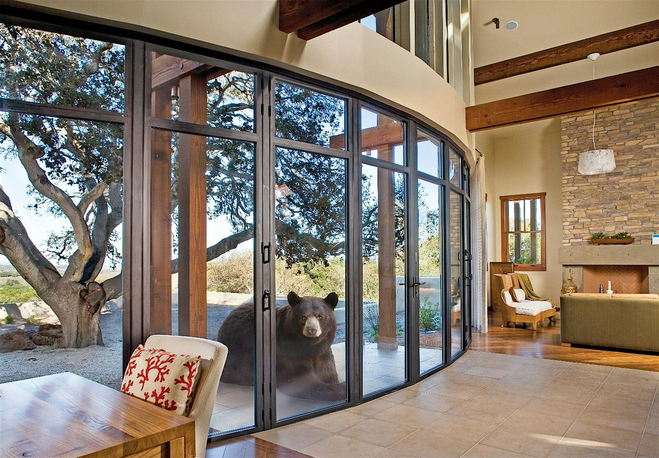 NanaWall bearricade bear security