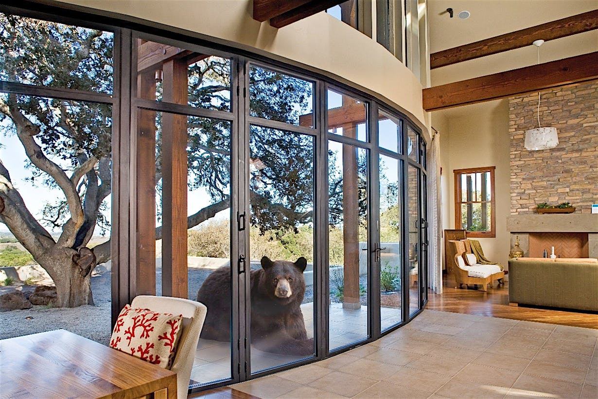 NanaWall bearricade bear security