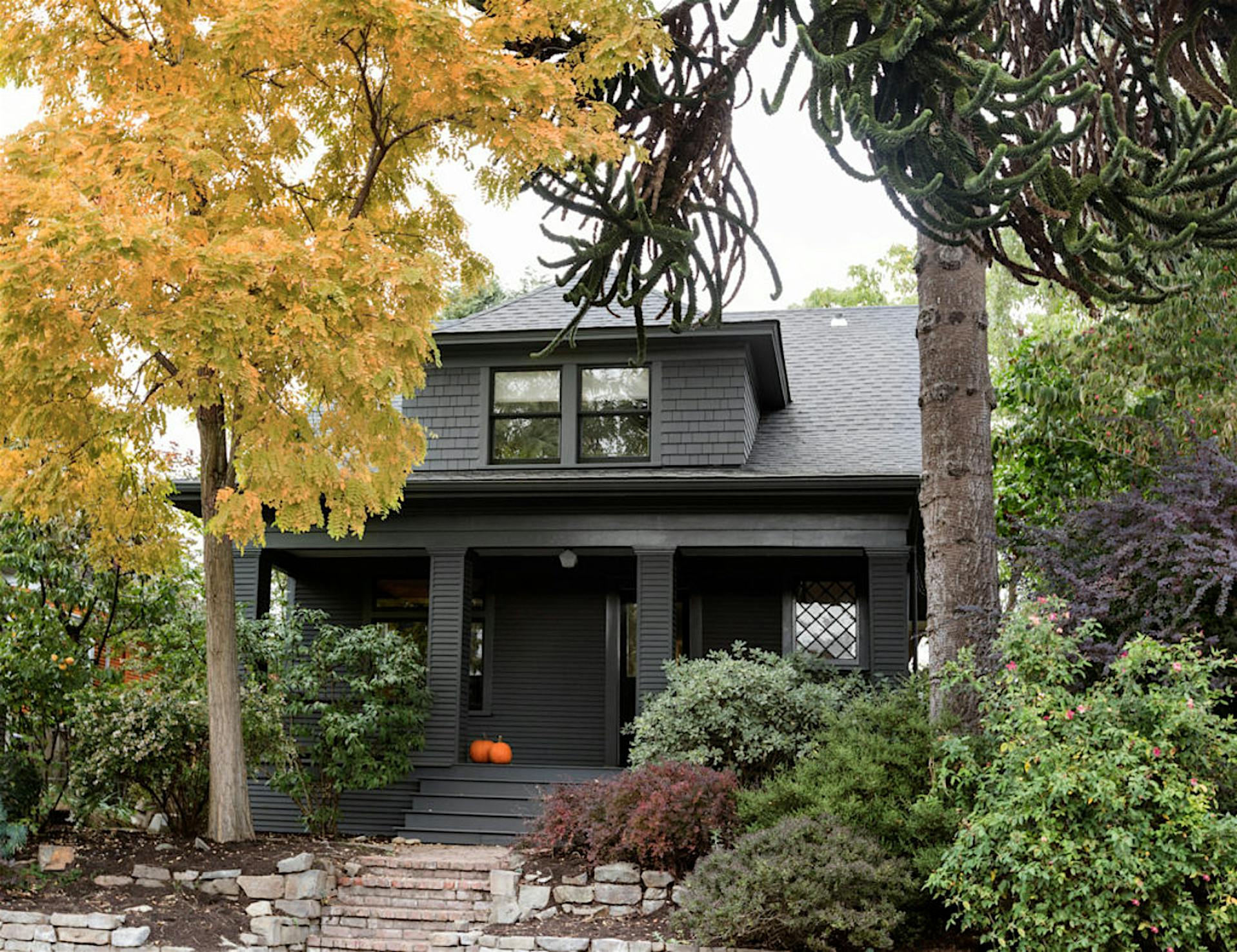 home reno with bifold glass doors