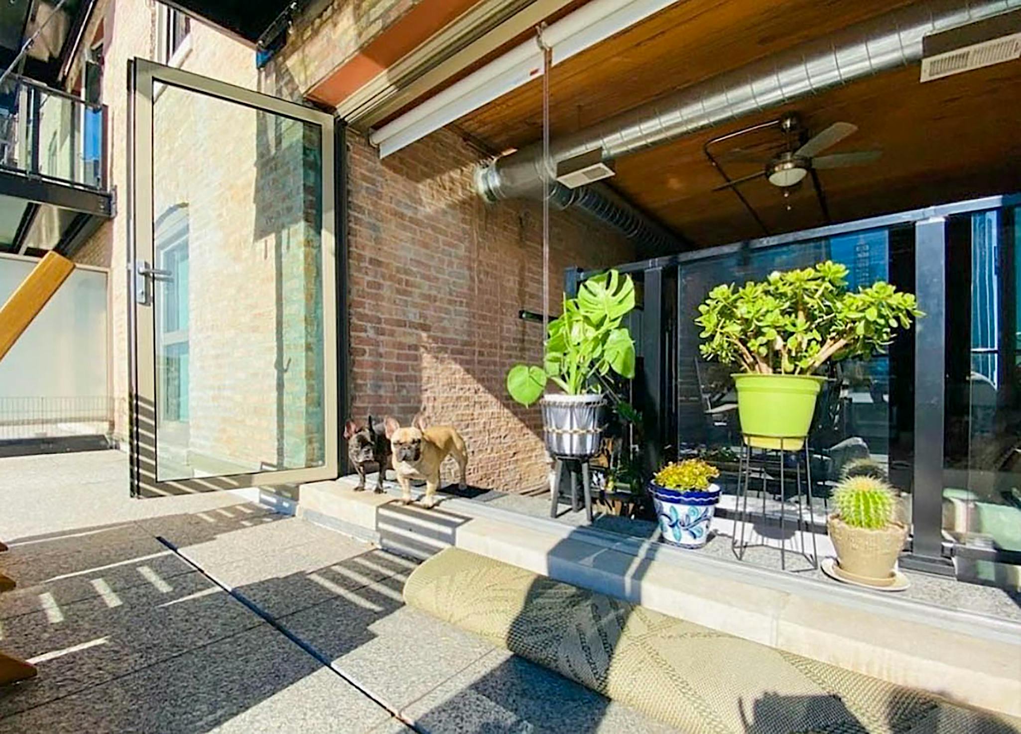 NanaWall folding glass doors