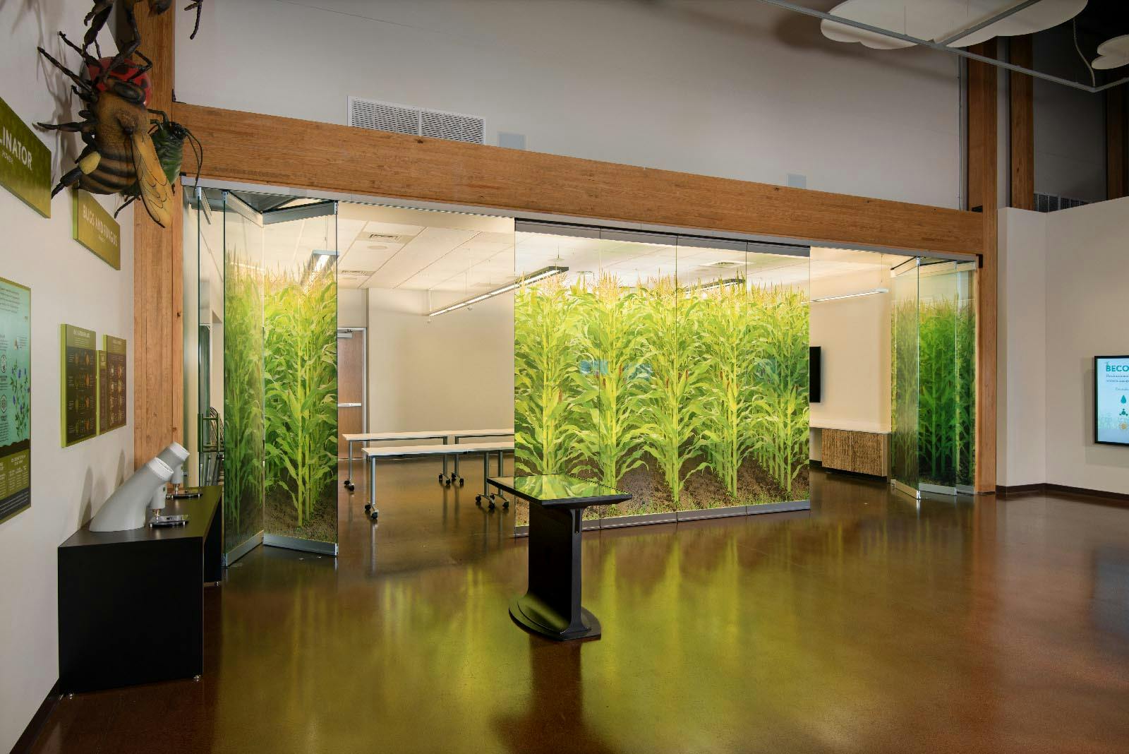 interior frameless glass wall systems