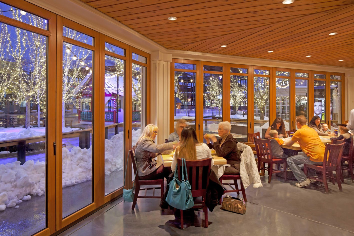 people-eating-in-restaurant-next-to-glass-with-snow-outside