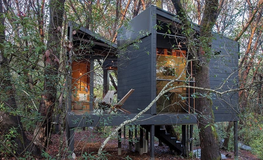 The Forest House is an award-winning modern cabin in Mendocino County, CA.