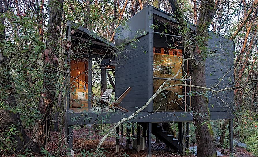 The Forest House is an award-winning modern cabin in Mendocino County, CA.