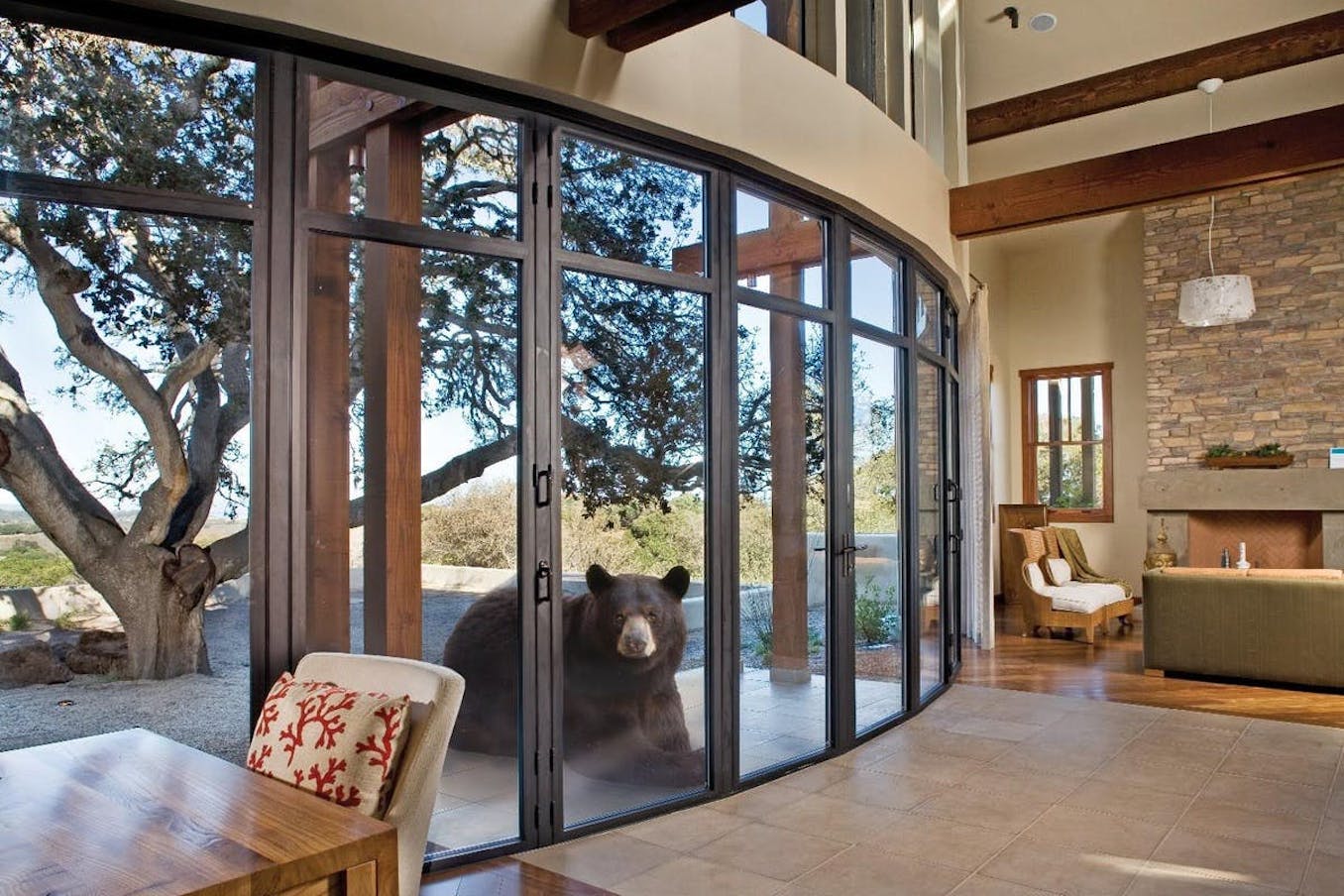 Glass Walls with the strength to prevent break-Ins   