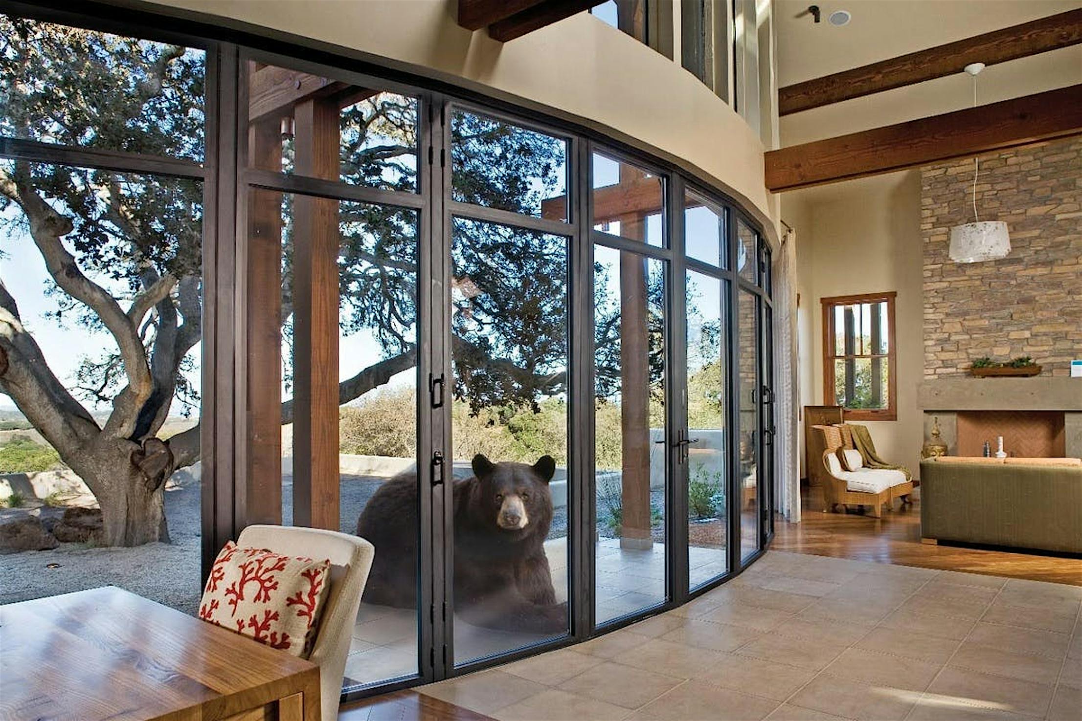 Bear resistant folding glass doors