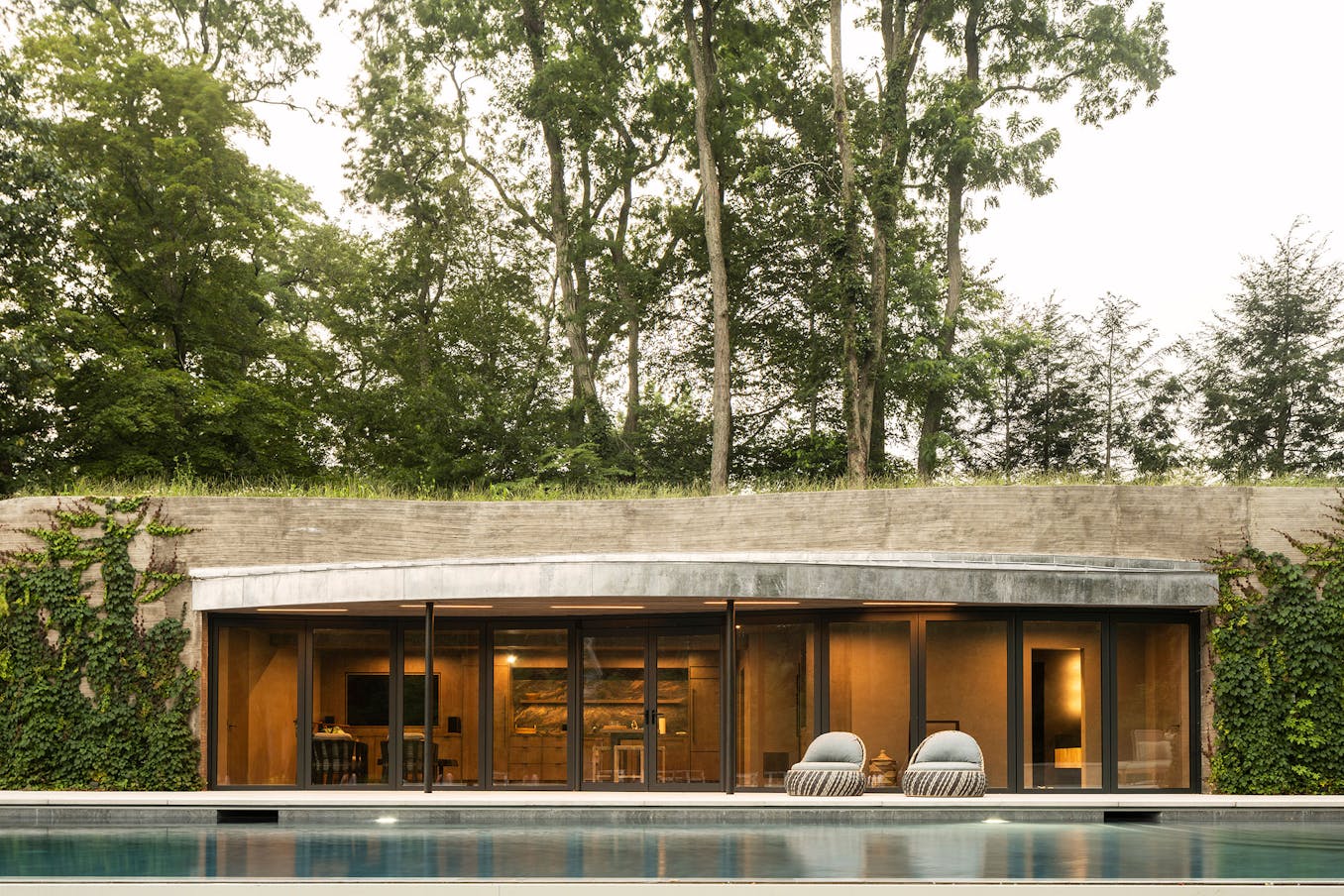 A modern house with a swimming pool in the middle of the woods