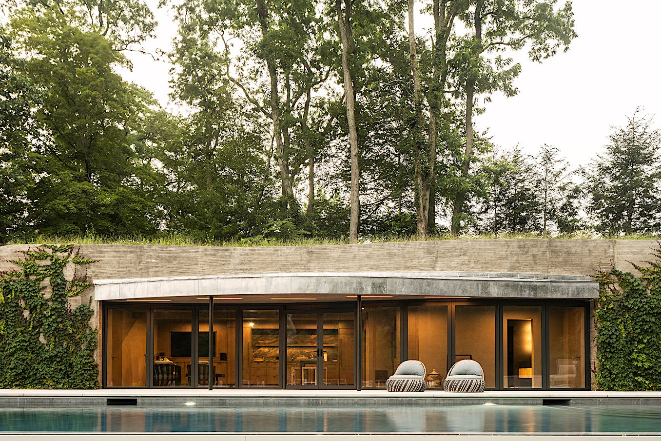 A modern house with a swimming pool in the middle of the woods