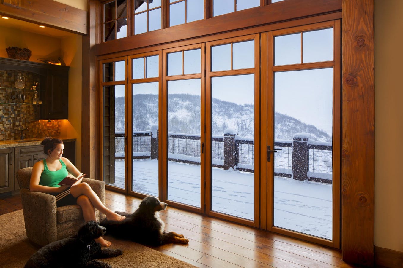 a person sitting on a chair with dogs looking out a window