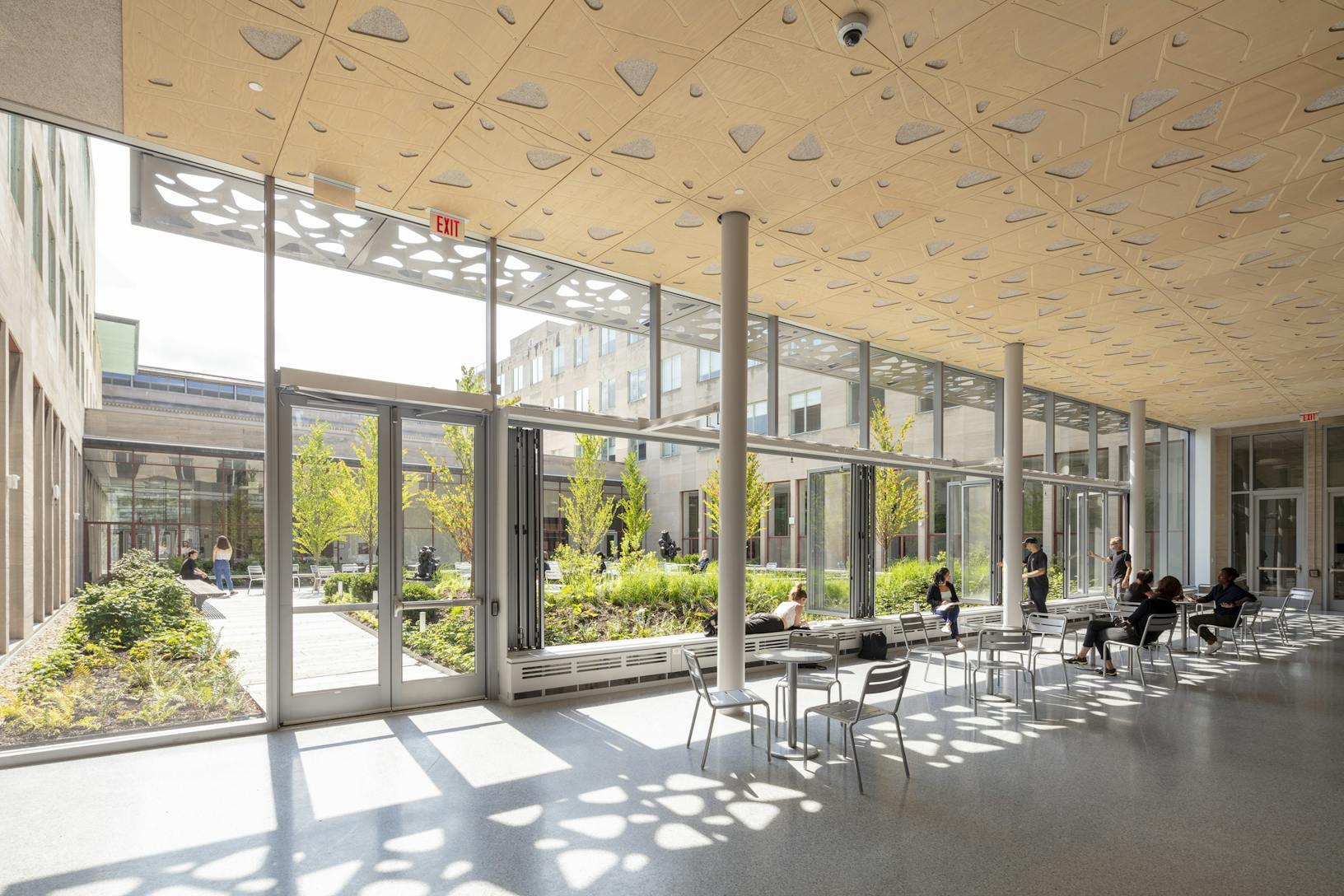 MIT Hayden Library Folding Windows