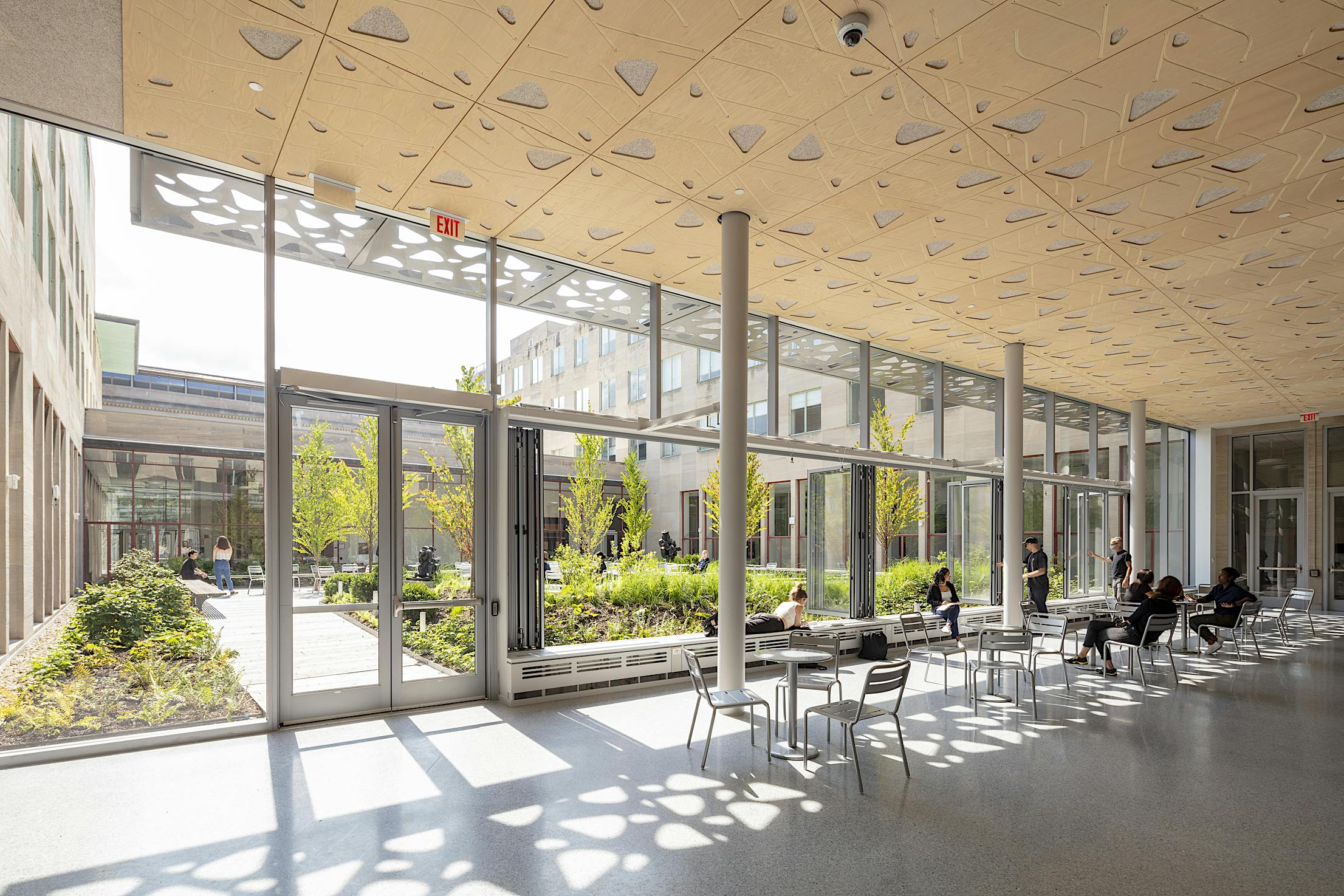 MIT Hayden Library Folding Windows