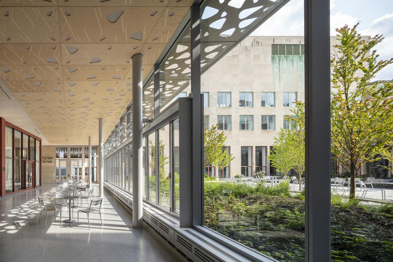 MIT Hayden Library Folding Windows